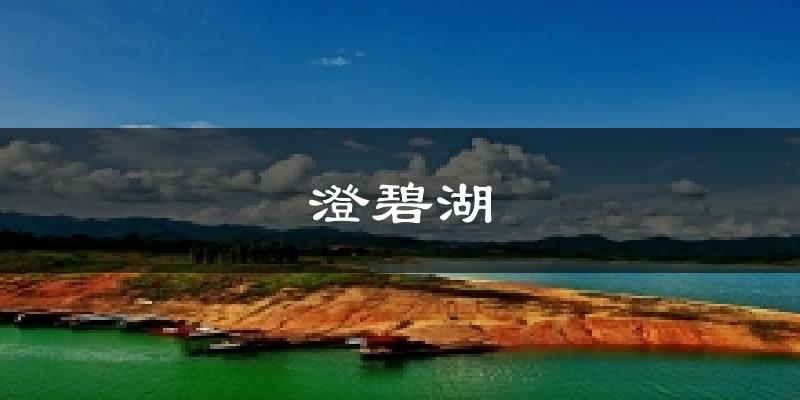 澄碧湖今日天气