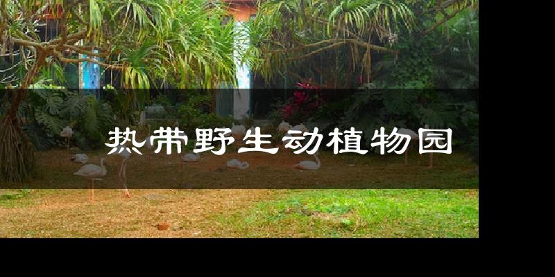 热带野生动植物园今日天气