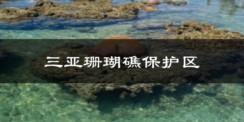 三亚三亚珊瑚礁保护区天气预报未来一周