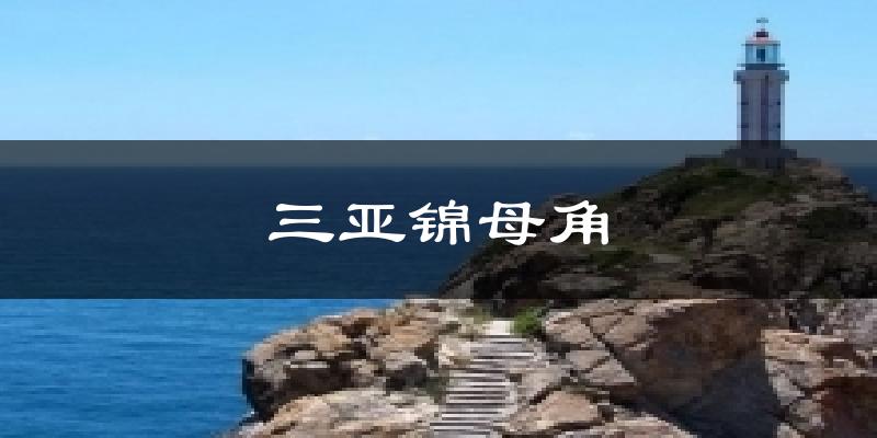 三亚三亚锦母角天气预报未来一周